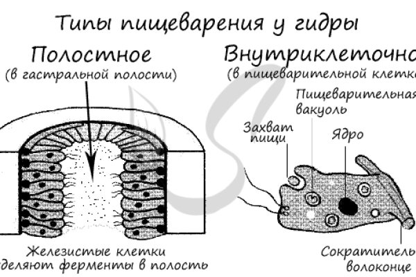 Как открыть ссылку с кракена
