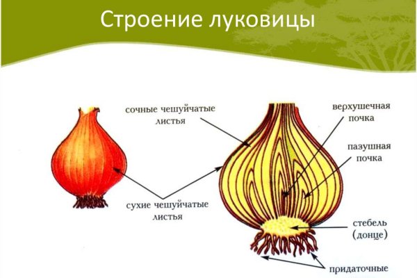 Кракен как войти