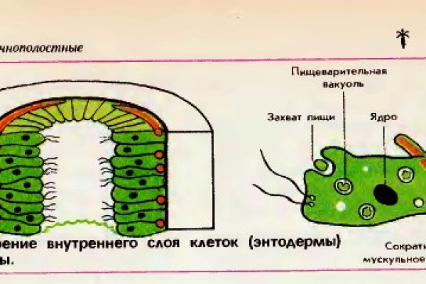 Кракен новая гидра