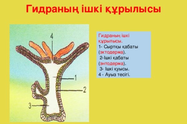 Вход кракен код